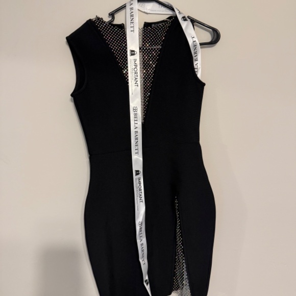 Bella Barnett - Aaliyah Mesh BodyCon Mini Dress - Picture 9 of 13